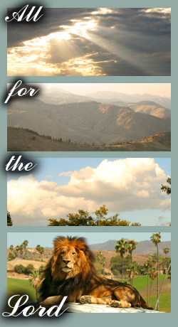 left banner
